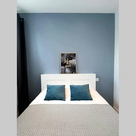 Radieux T3 Au Centre De Apartment *